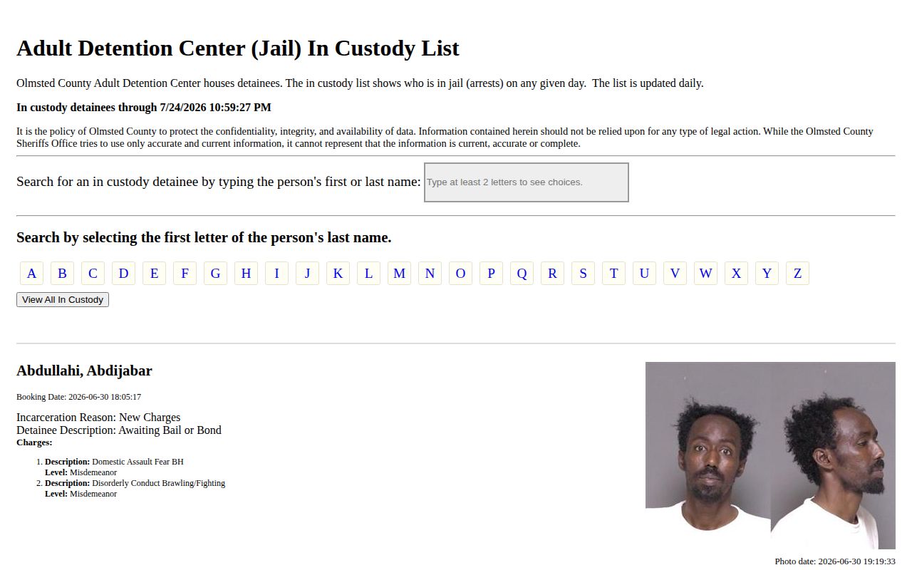 Olmsted County current-custody application used to explain 24-hour release limits